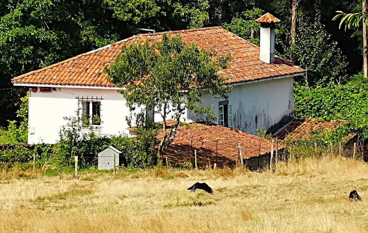 Vista exterior de Finca rústica en venda en Narón amb Calefacció, Jardí privat i Parquet