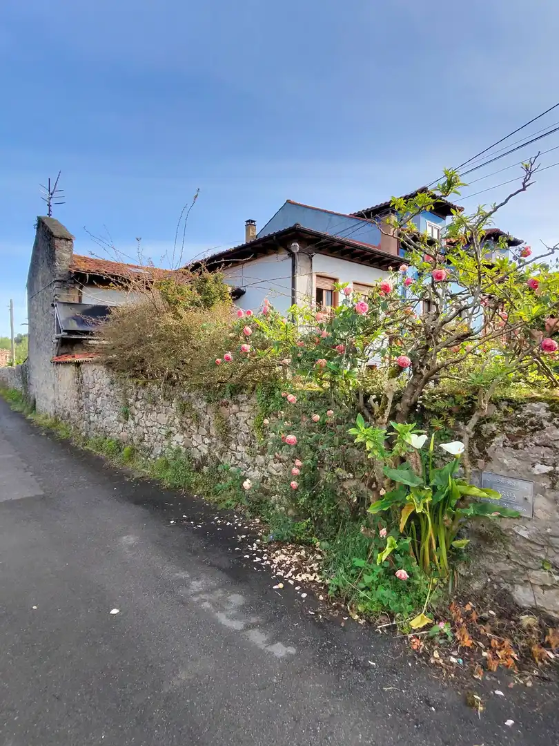 Casa amb jardí en venda a nueva, imagen 5