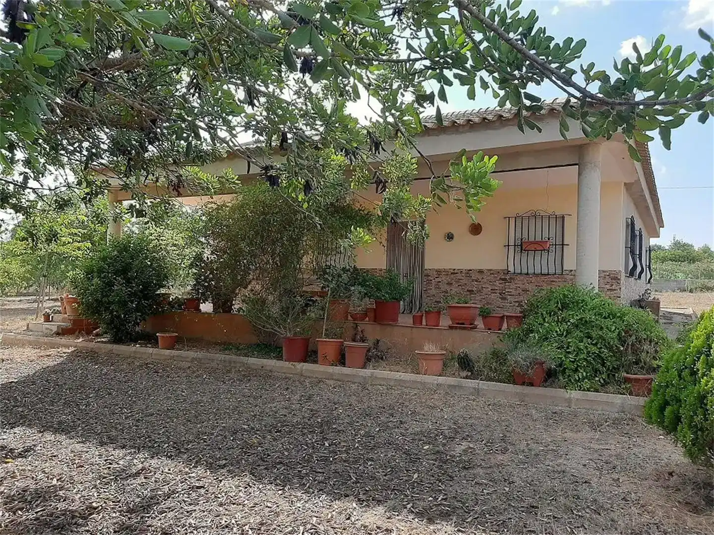 Vista exterior de Casa o chalet en venta en Cheste con Aire acondicionado