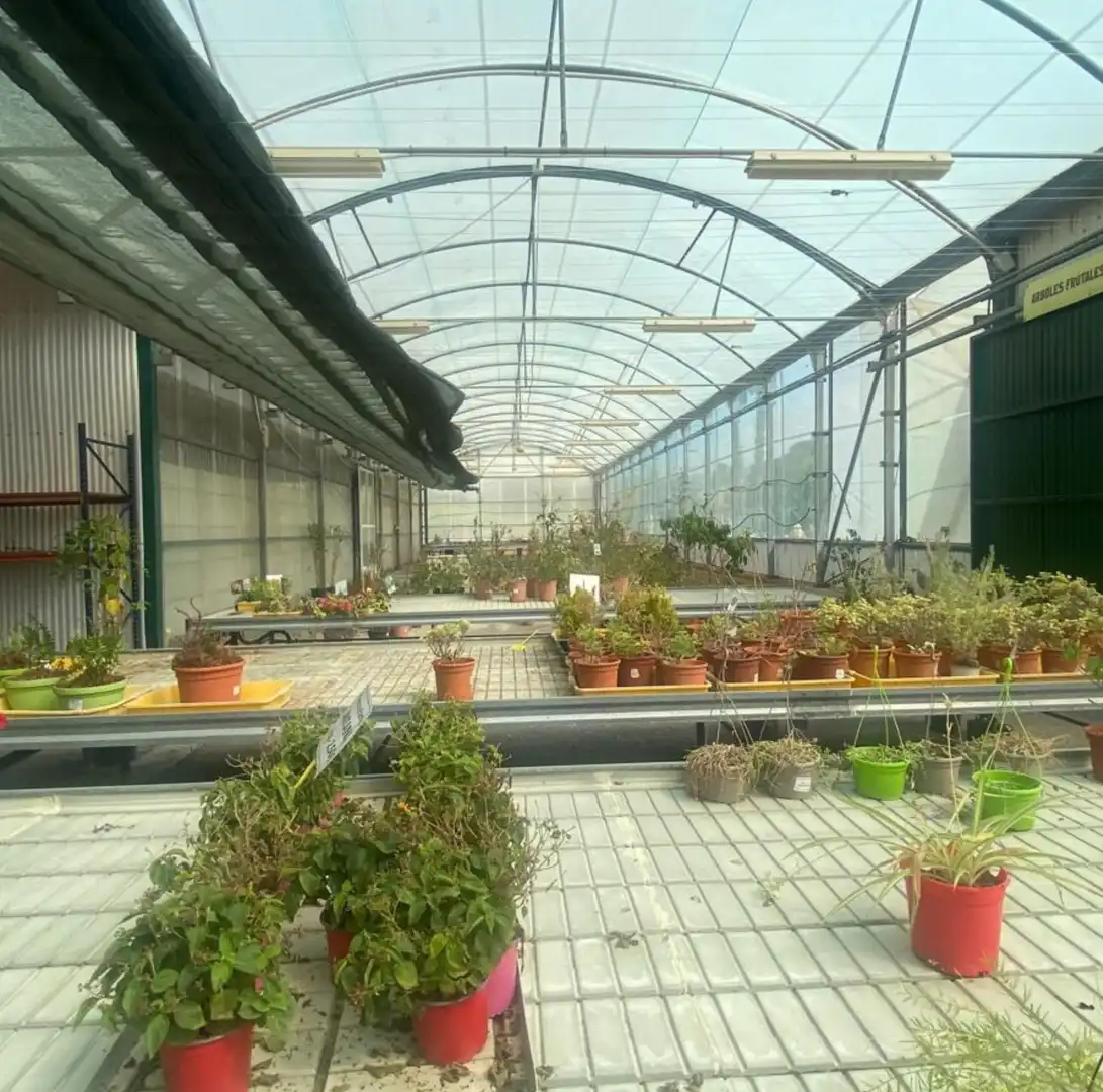 Garten von Fabrikhallen zur Miete in Cártama