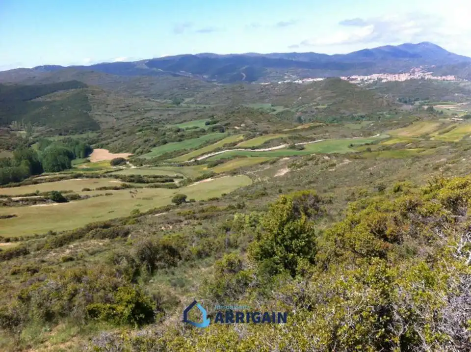Casa o chalet en venta en La Moraleja con Jardín privado