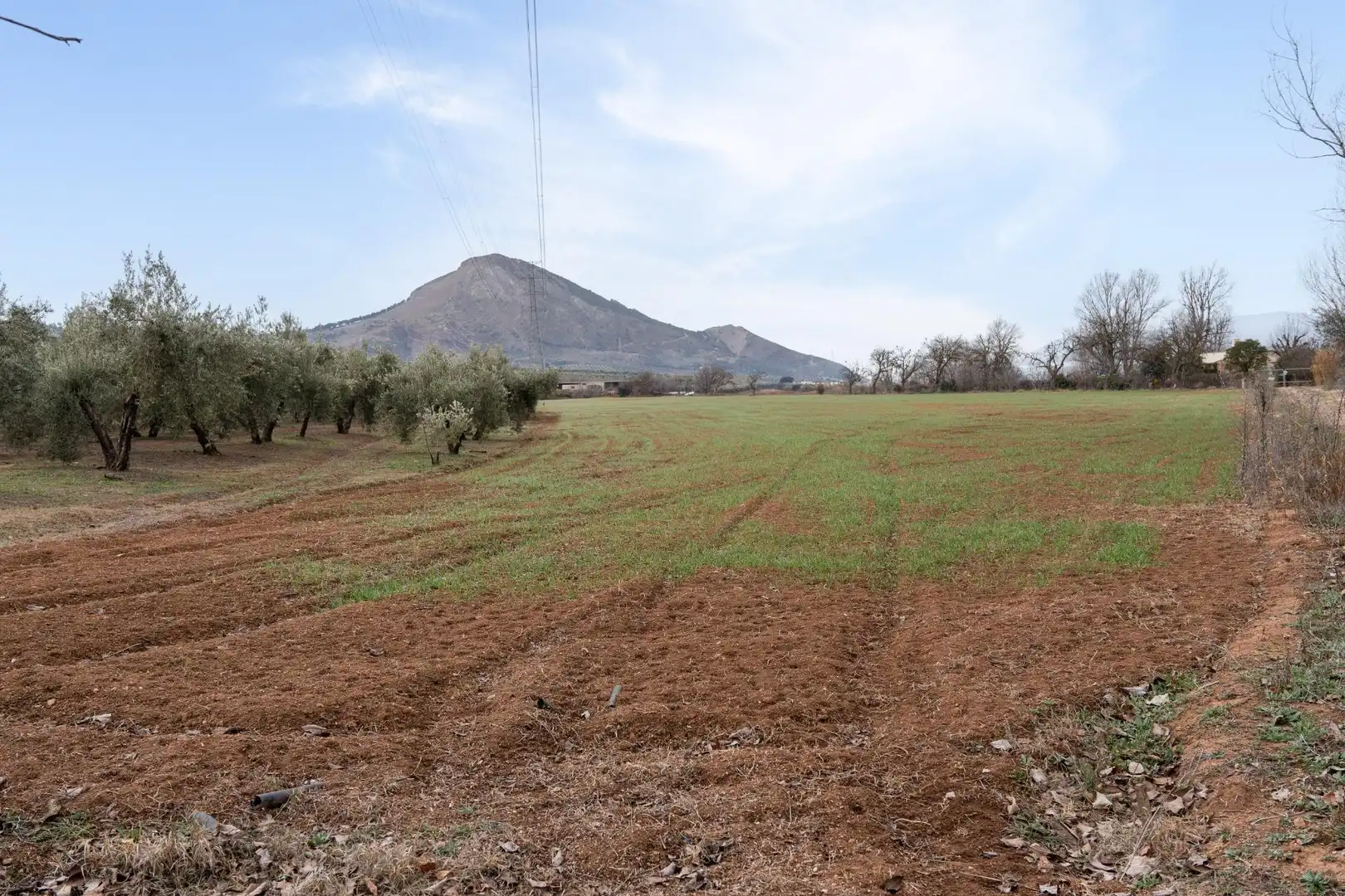 Terrenys i solars en venda a Polígono 23 Parcela 63 LA ZANJA. ALBOLOTE (GRANAD 23, imagen 16