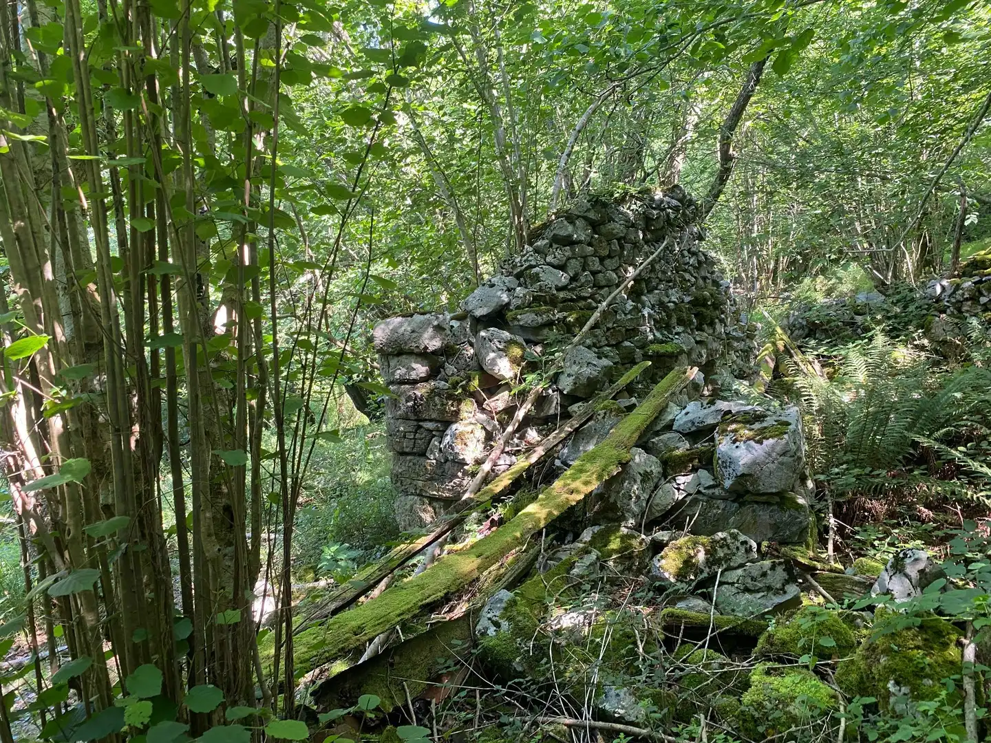 Terreno rustico in vendita a SEGÜENCO, imagen 16