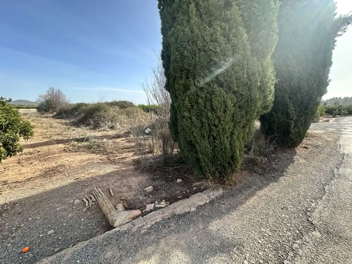 Terreno residencial en venta en Algímia de Alfara, imagen 5