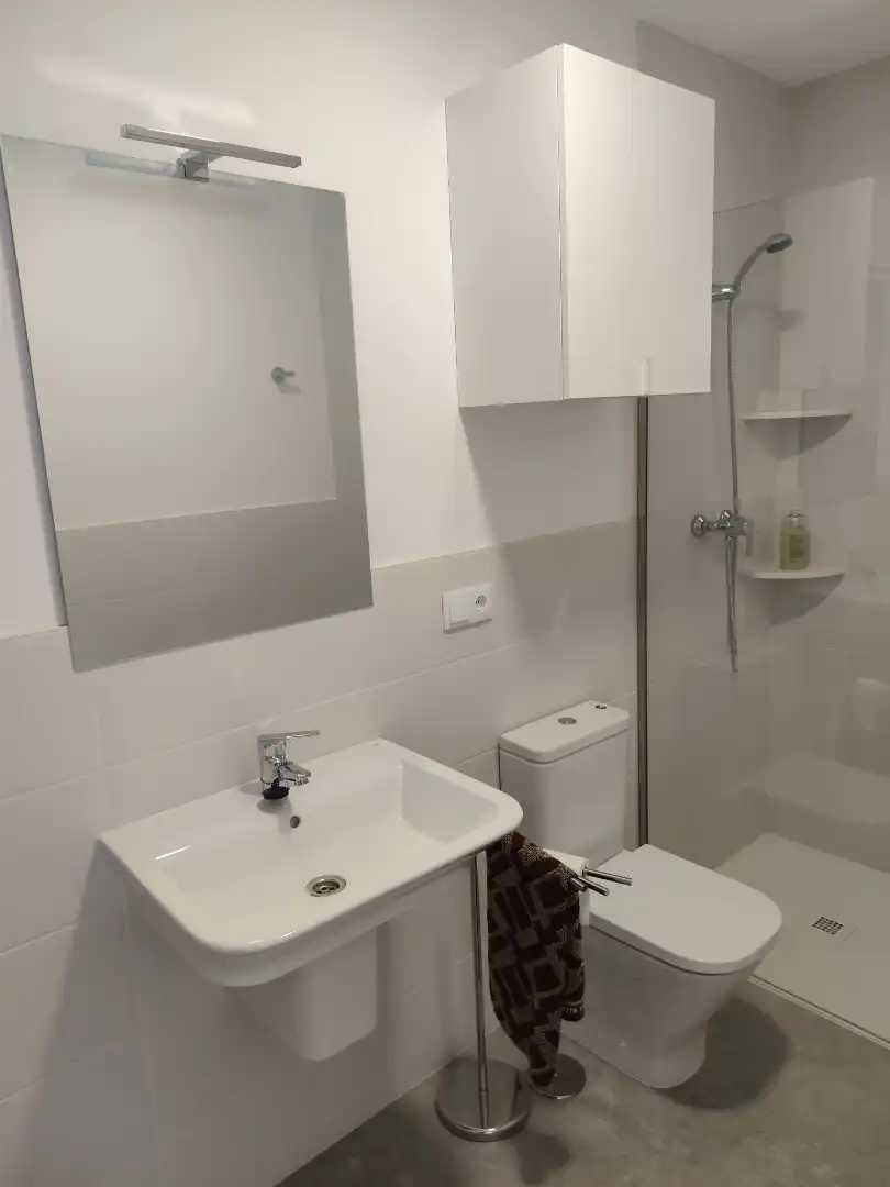 Bathroom of Apartments for rent in Ribeira  with Terrace, Furnished and Oven