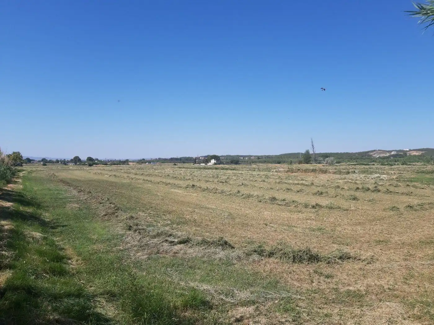 Grundstücke zum Verkauf in Zaragoza