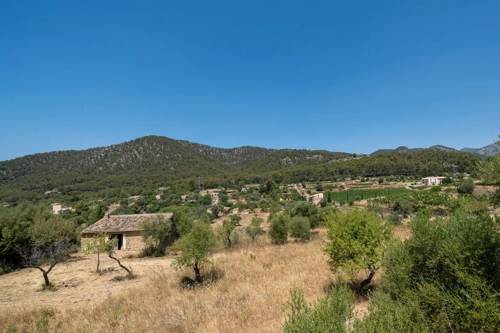 Casa o chalet en venta en Alaró con Jardín privado