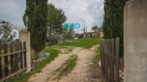 Foto 4 de Casa o xalet en venda a Poligon 11 Rustega, Montuïri, Illes Balears