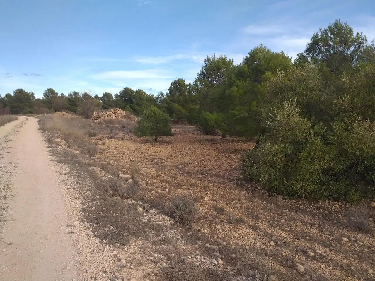Finca rústica en venta en Yecla con Jardín privado