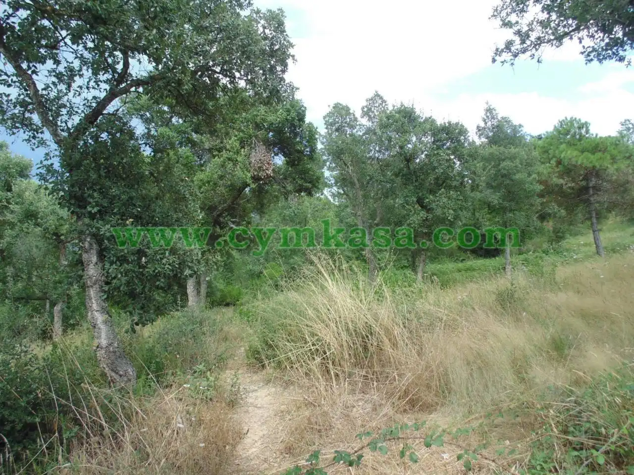 Rural land for sale in Montbarbat, imagen 4