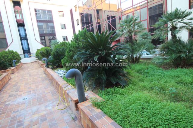 Oficina en Venta en JUAN CAPO en Es Camp Redó