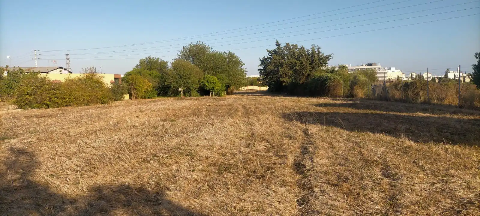 Rural land for sale in El Juncal - Vallealto, imagen 10