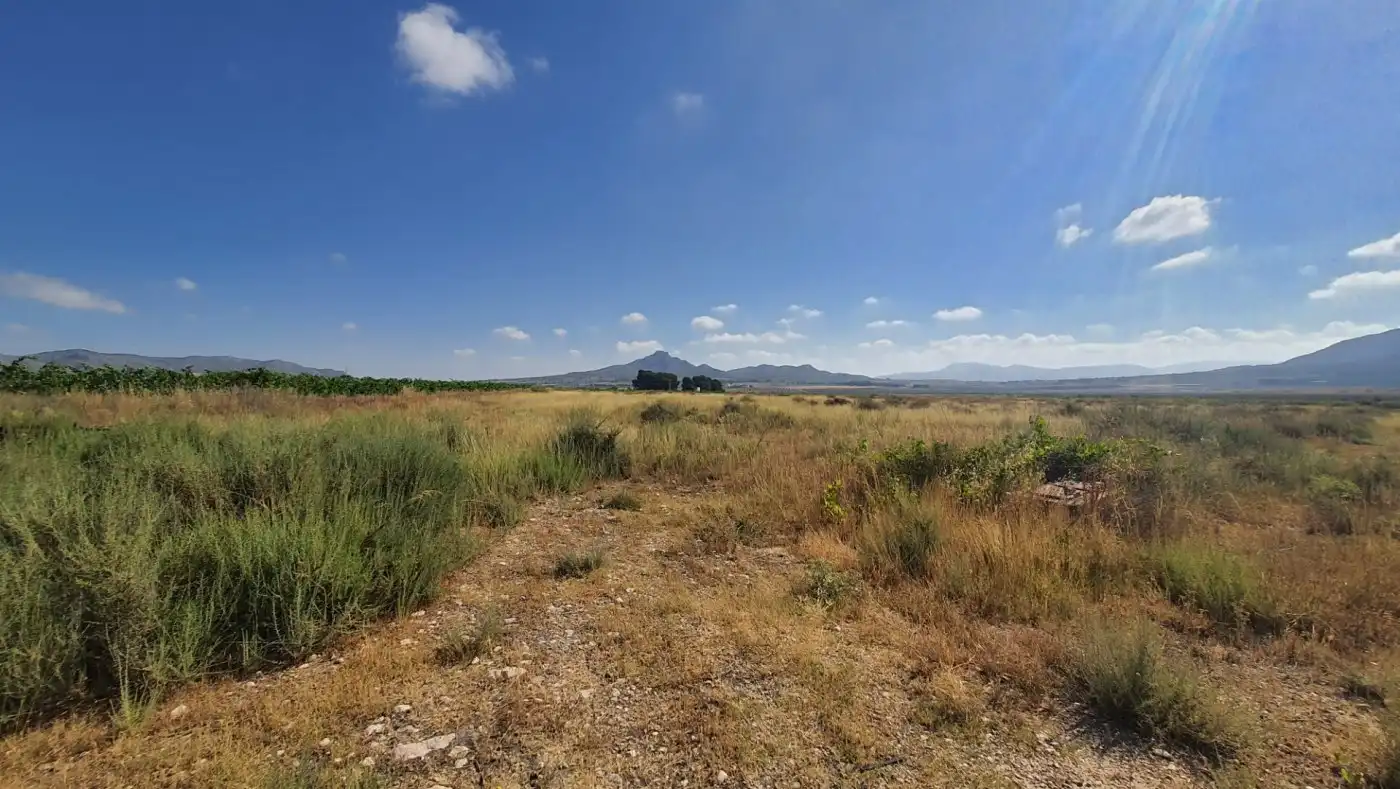 Terreno residenziale in vendita a casa plaza, imagen 11