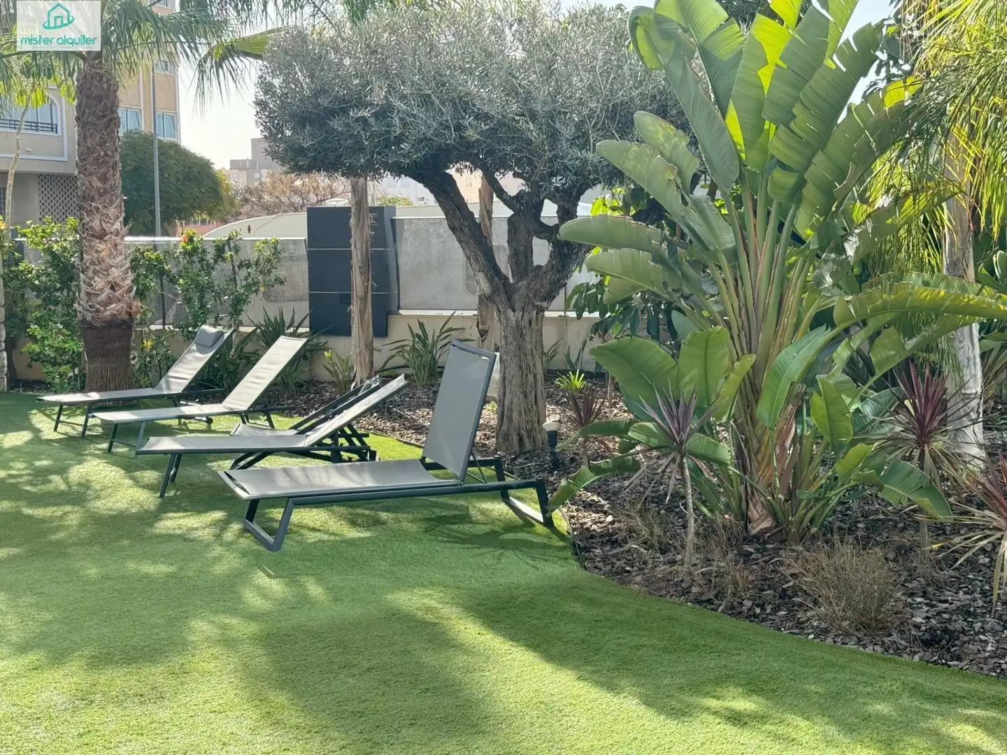 Apartment with terrace to rent in Calle MAR ALTA 10, imagen 58