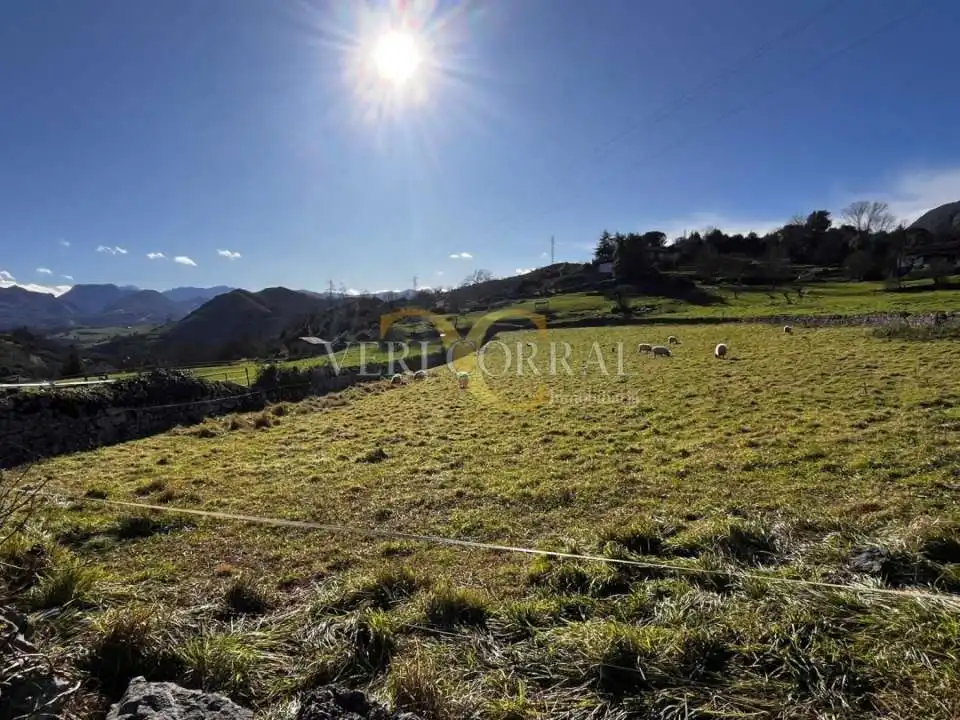 Terreno residencial en venta en Collía, imagen 4