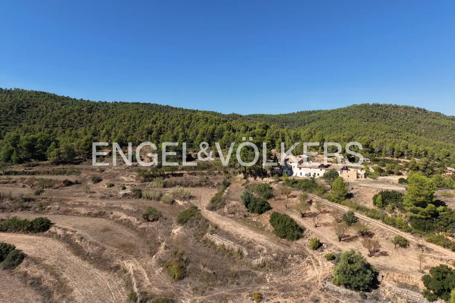 Terrain rustique à vendre à Requena, imagen 8