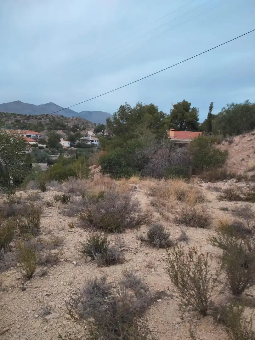 Wohnbaugrundstück zum Verkauf in Partidas de Alicante, imagen 8
