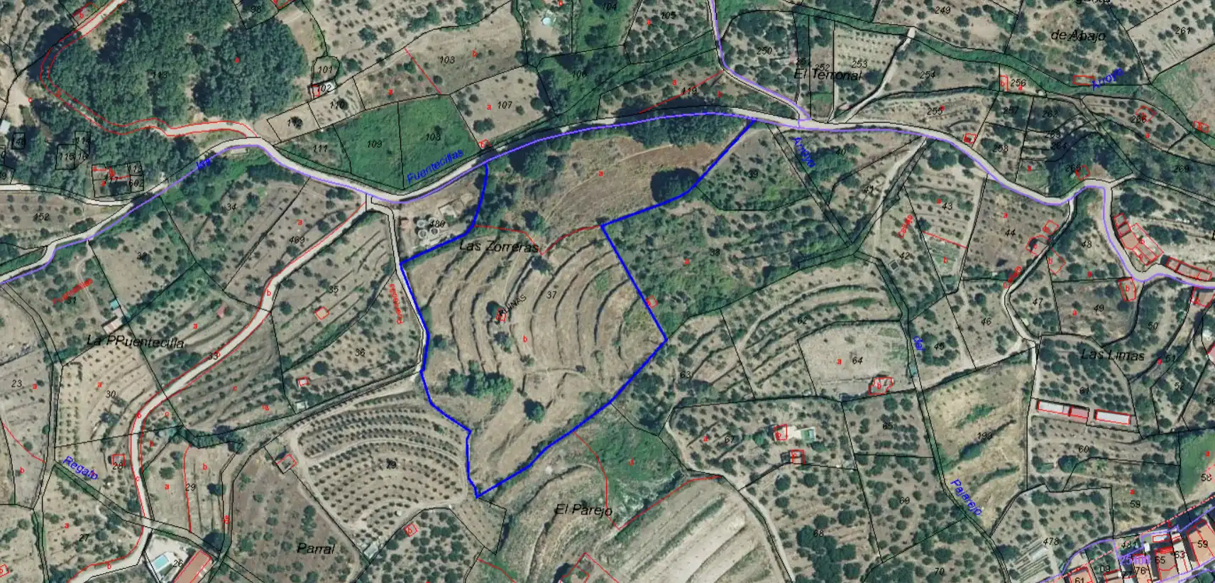 Land for sale in Casas del Castañar