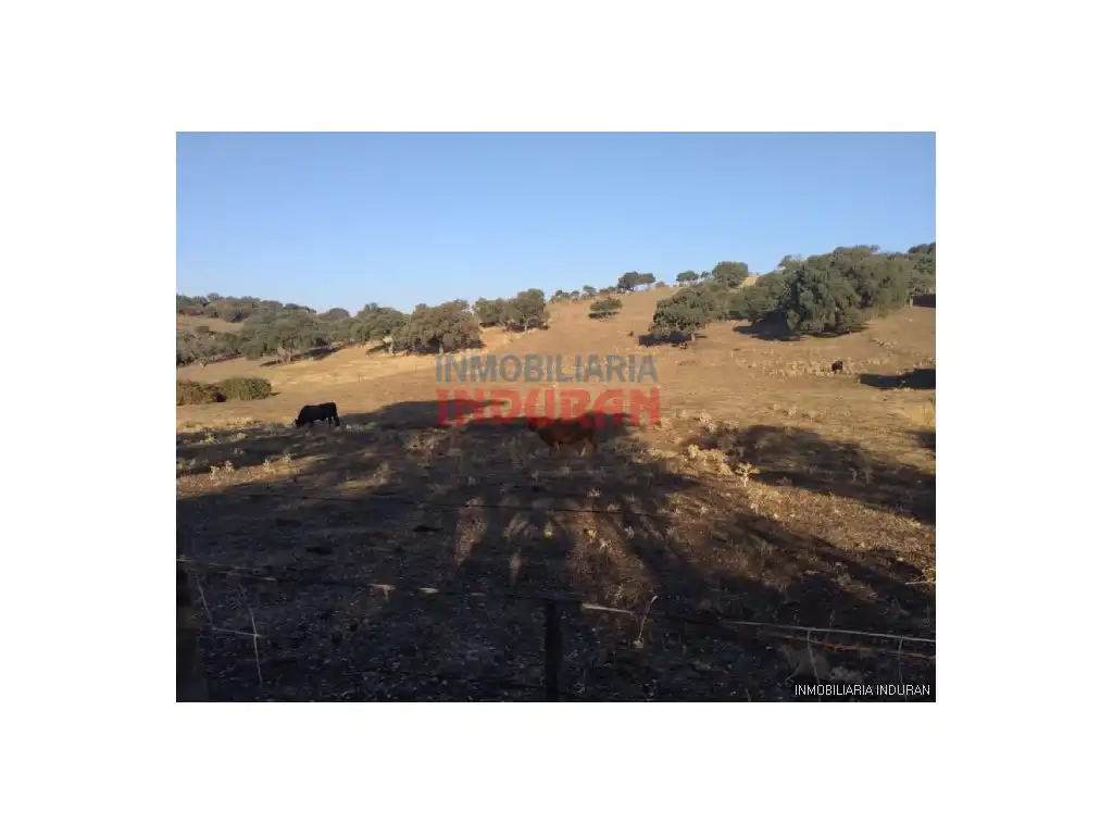 Casa en venta en Millanes, imagen 2