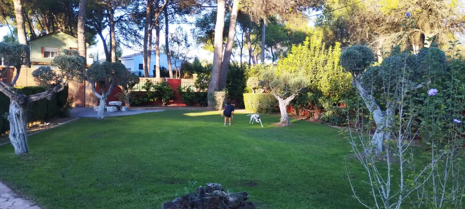 Jardí de Casa o xalet en venda en Estivella amb Aire condicionat, Calefacció i Jardí privat