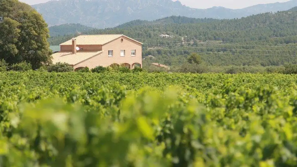 Vista exterior de Finca rústica en venta en El Perelló con Jardín privado, Terraza y Trastero