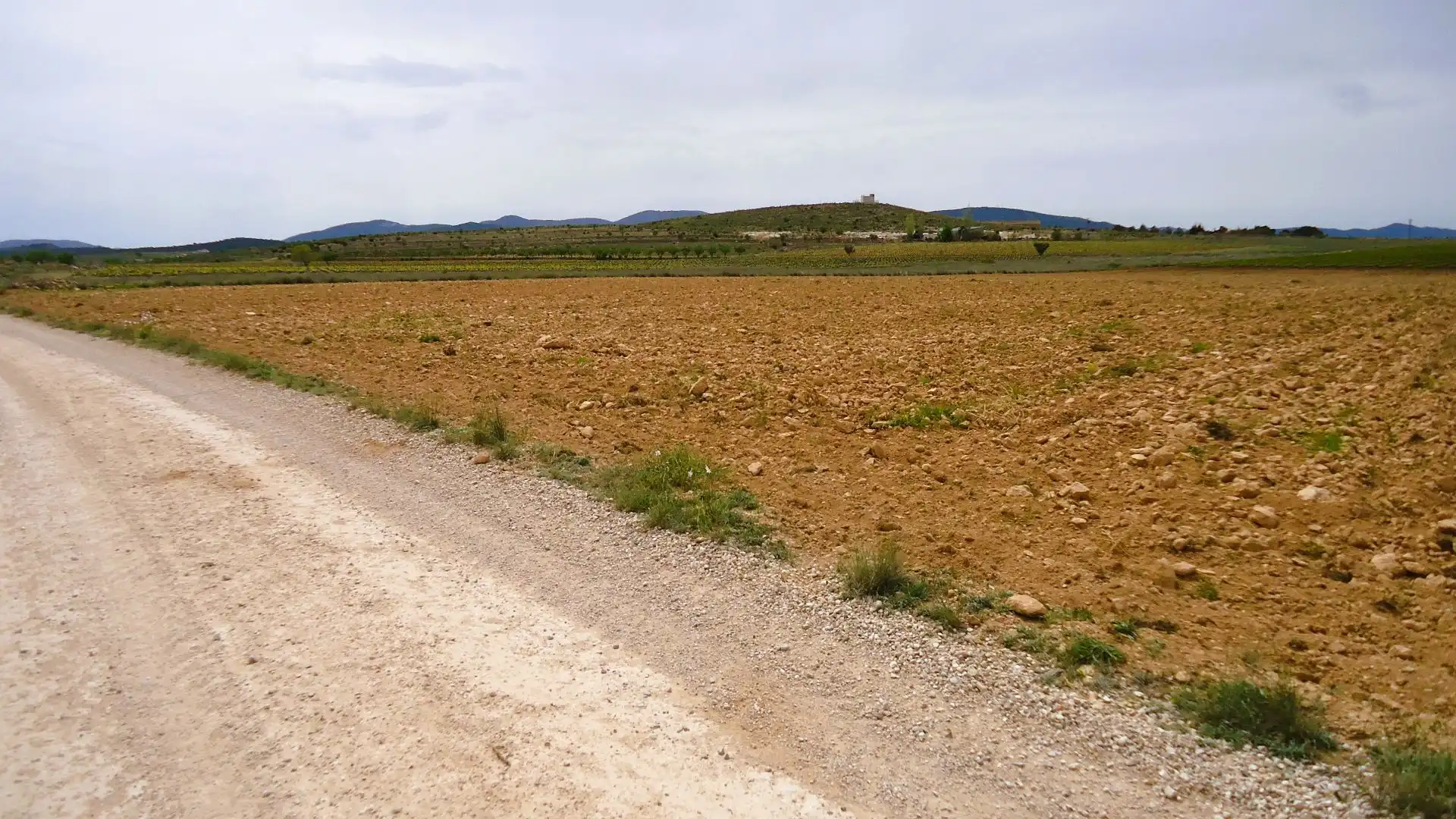 Terreno rústico en venta en El Pinós / Pinoso, imagen 3