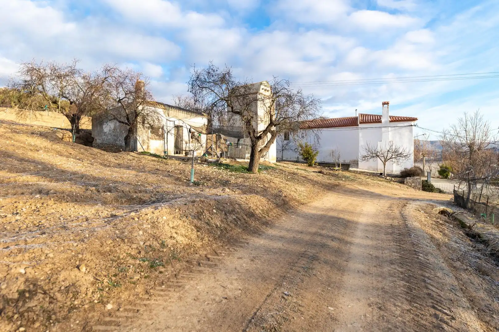 Finca rústica en venta en Píñar
