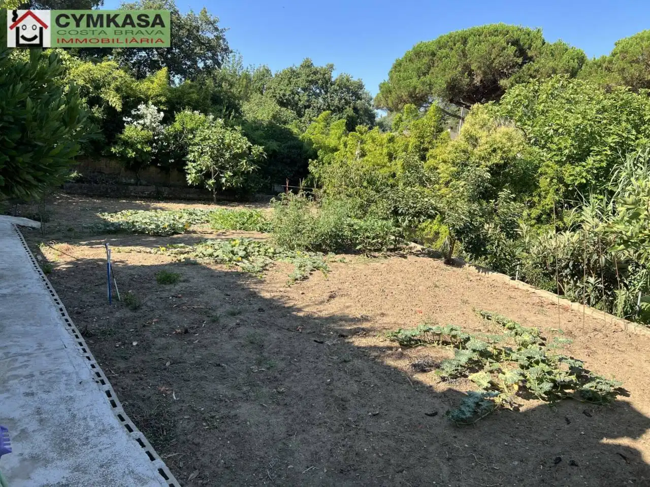 House with pool for sale in Montbarbat, imagen 4