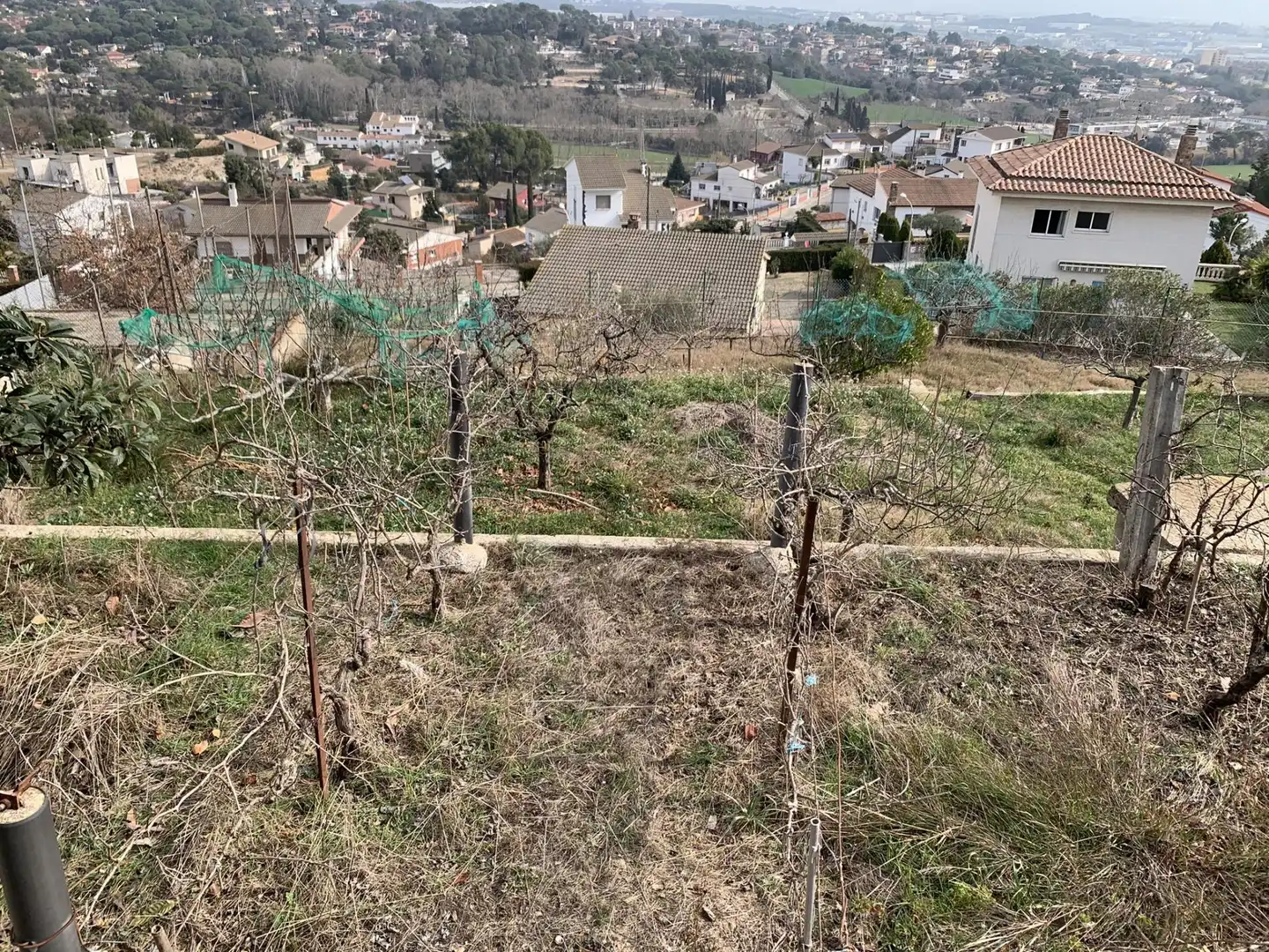 Terrenos y solares en venta en Calle SANTA LAURA, imagen 2