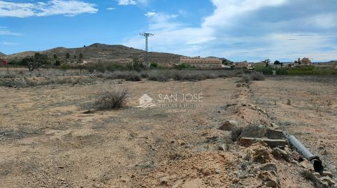 INMOBILIARIA SAN JOSE VENDE FINCA RUSTICA CERCA DEL PUEBLO DE HONDON DE LAS NIEVES, imatge 3