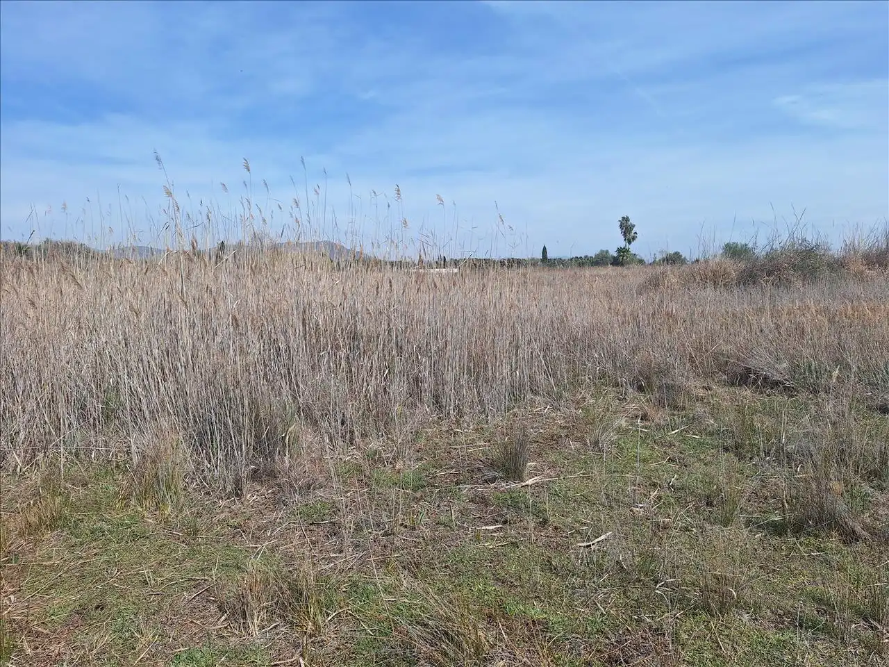 Residencial en venta en POLIGONO 13 PARCELA 31, POLIGONO 1, -1, Playa del Puig