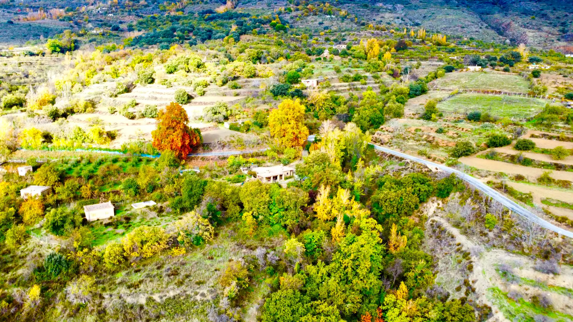 Exterior view of Houses for sale in Alpujarra de la Sierra  with Heating, Private garden and Terrace