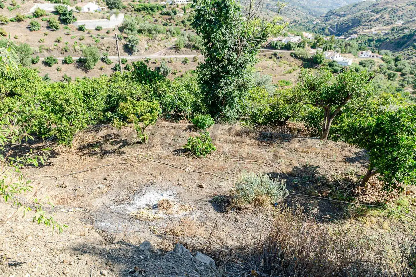 Casa o xalet en venda en Canillas de Albaida amb Jardí privat, Terrassa i Traster
