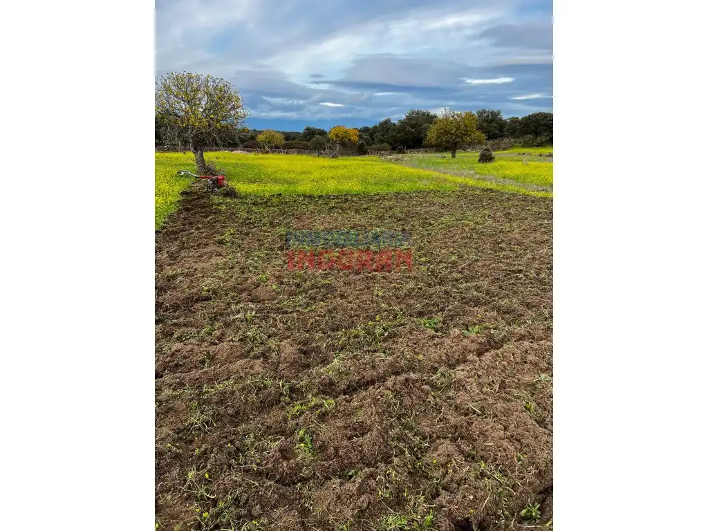 Finca rústica en venta en Valdehúncar
