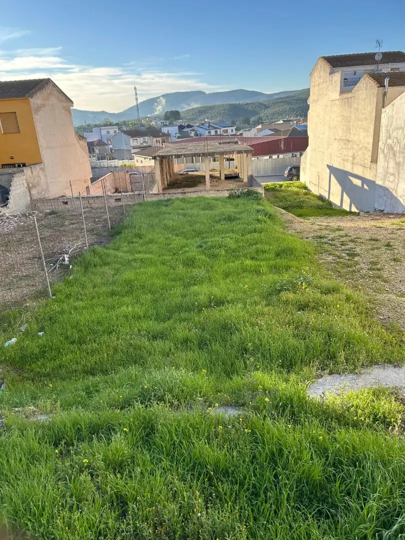 Terreni e lotti in vendita a Calle Carolina