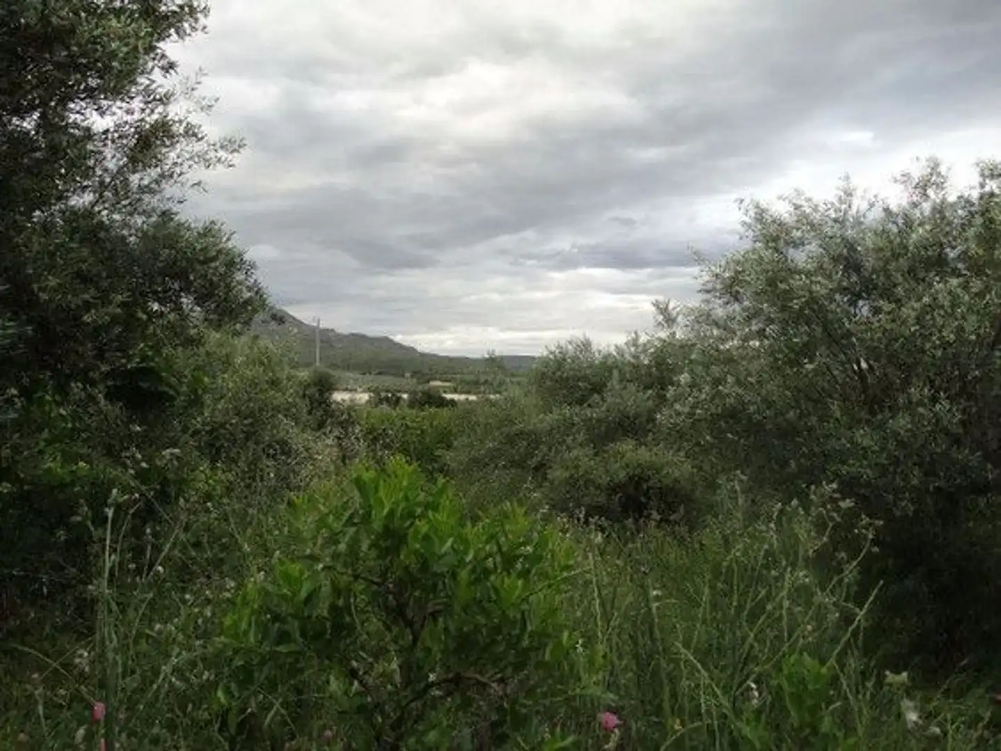 Xalet en venda a Moratalla, imagen 19