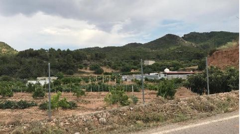 ALT Suelo en Gestalgar, immagine 4