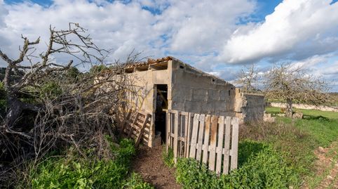 Foto 2 de Terreno en venta en Carrer Unió, Ariany, Illes Balears