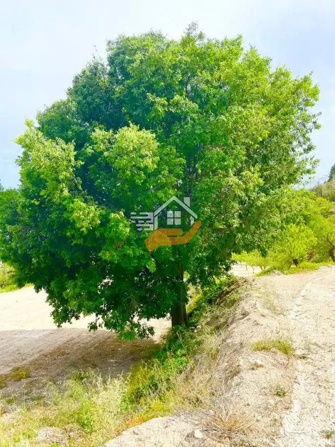 Lands and plots for sale in Vélez-Blanco, imagen 8