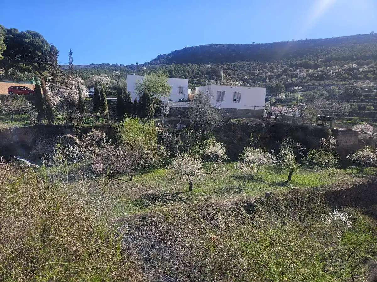 Jardín de Casa o chalet en venta en Enix con Amueblado
