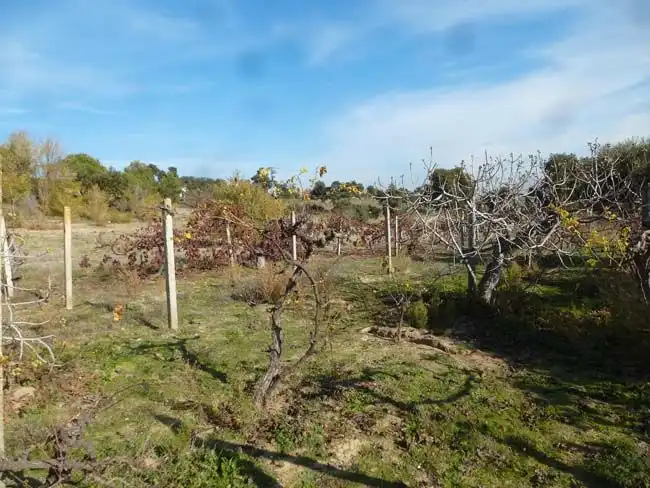 Terreno residencial en venta en Méntrida, imagen 2
