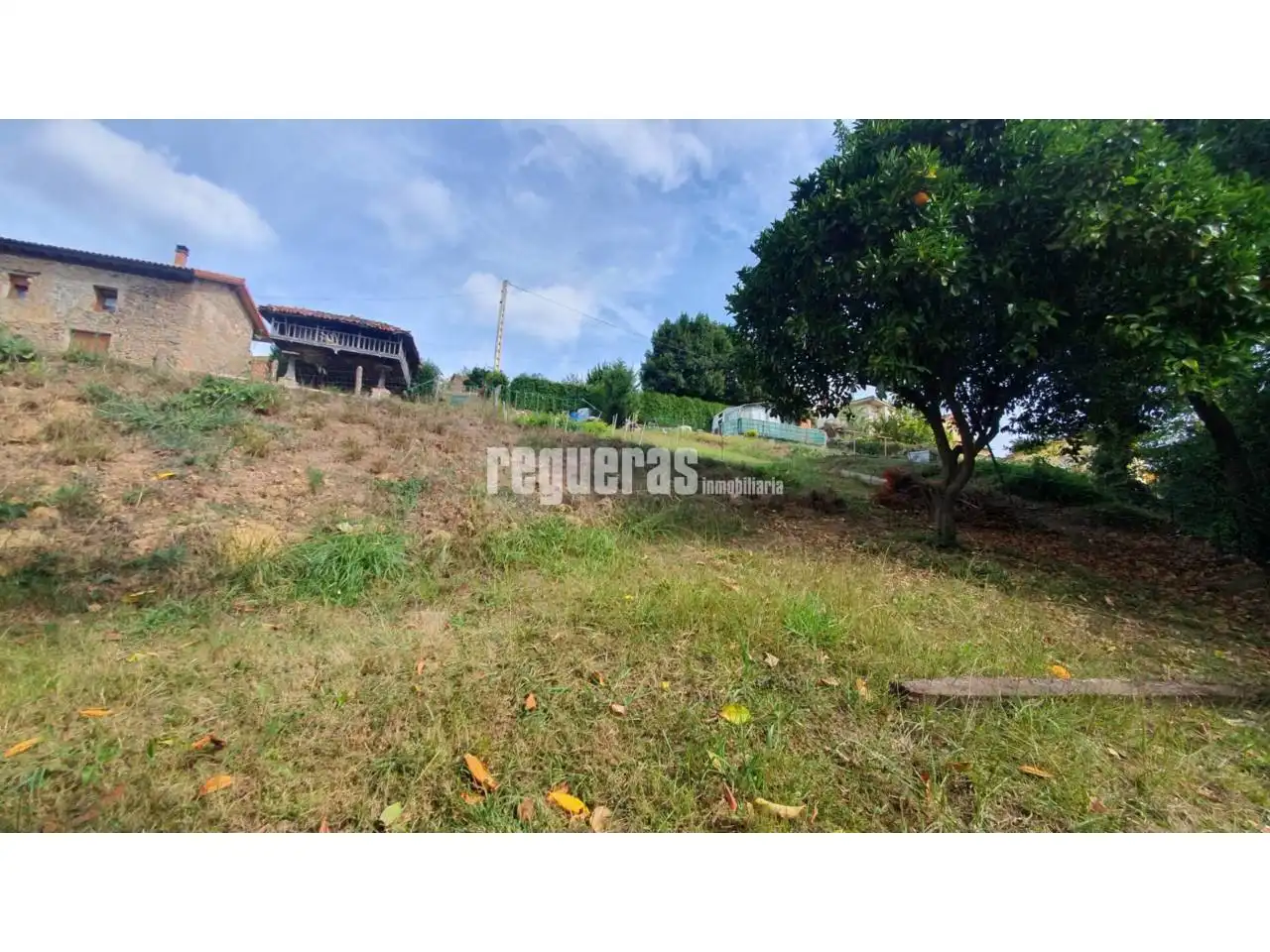 Lands and plots for sale in Magdalena, imagen 3