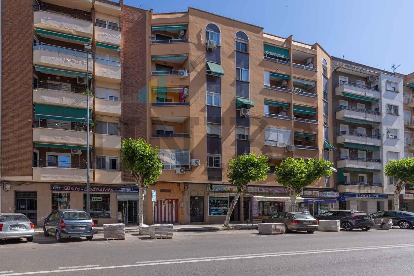 Piso de alquiler en Avenida RICARDO CARAPETO ZAMBRANO, San Roque - Ronda Norte