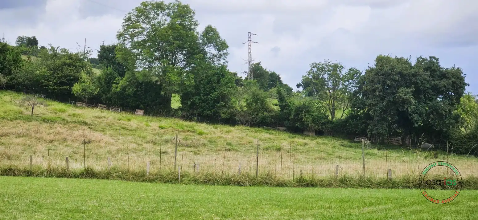 Terreno rustico in vendita a Gijón - CM DE LINARES 10, imagen 12