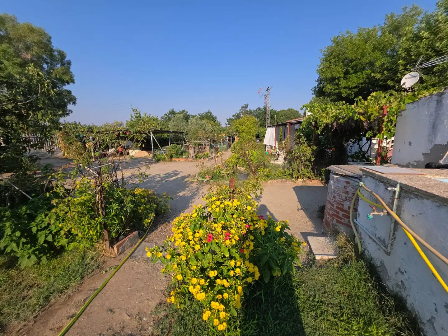 Jardí de Finca rústica en venda en Talavera de la Reina amb Jardí privat