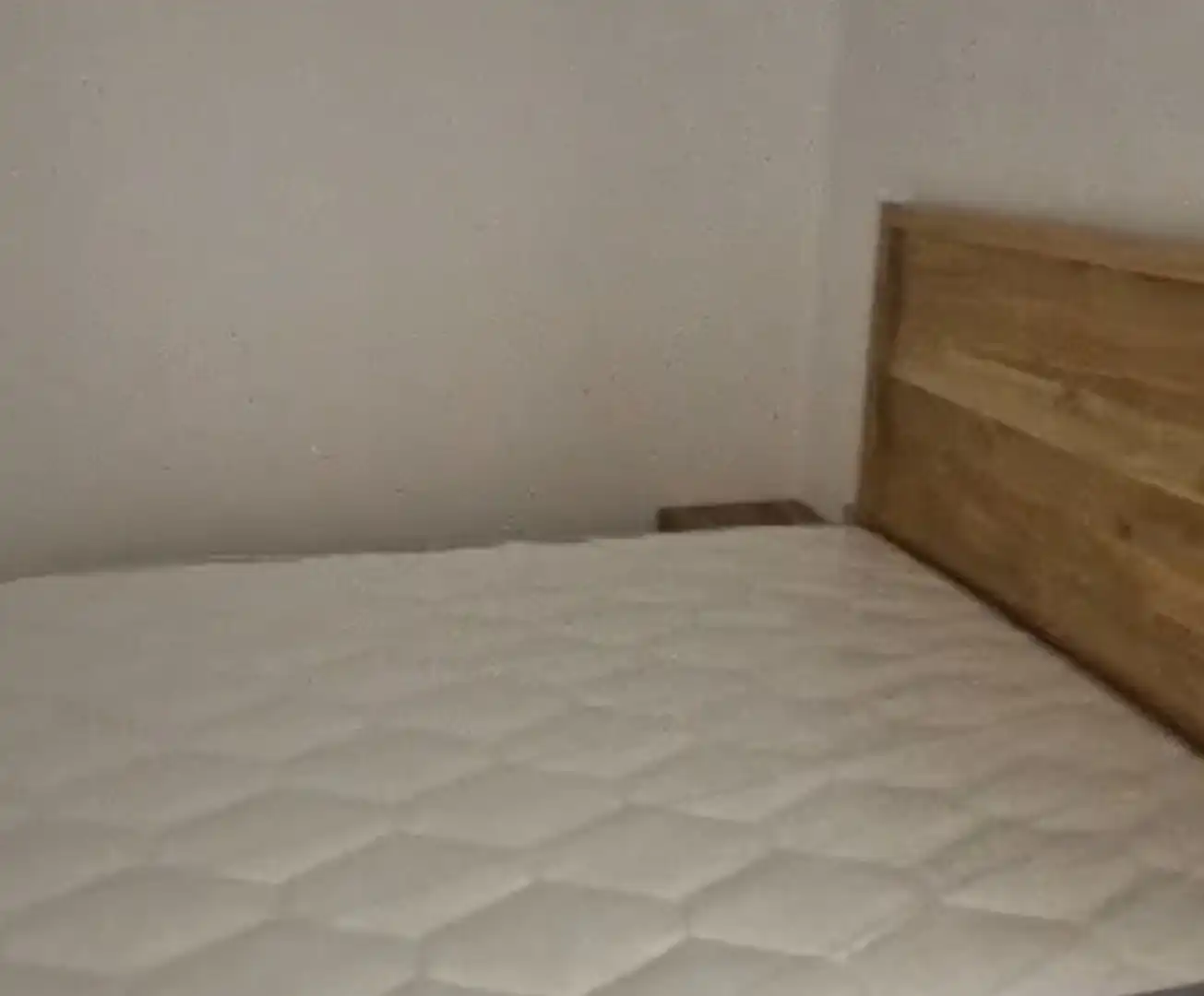 Erdgeschoss zur Miete in Elche / Elx, Alicante