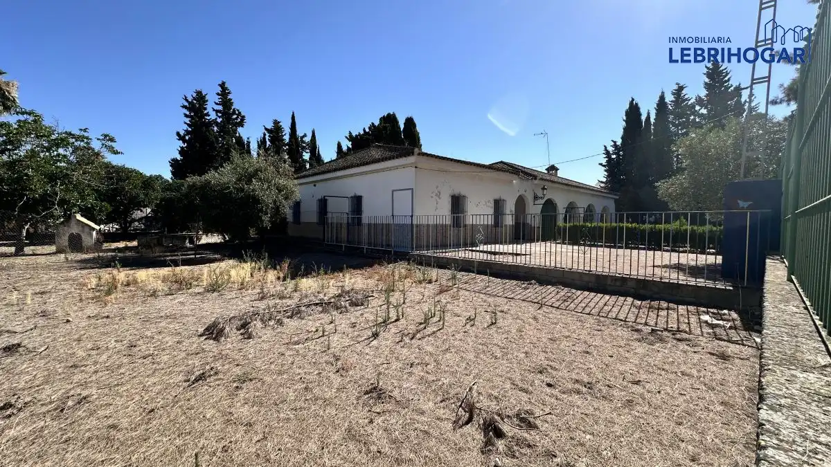 Vista exterior de Casa o chalet en venta en Lebrija con Terraza