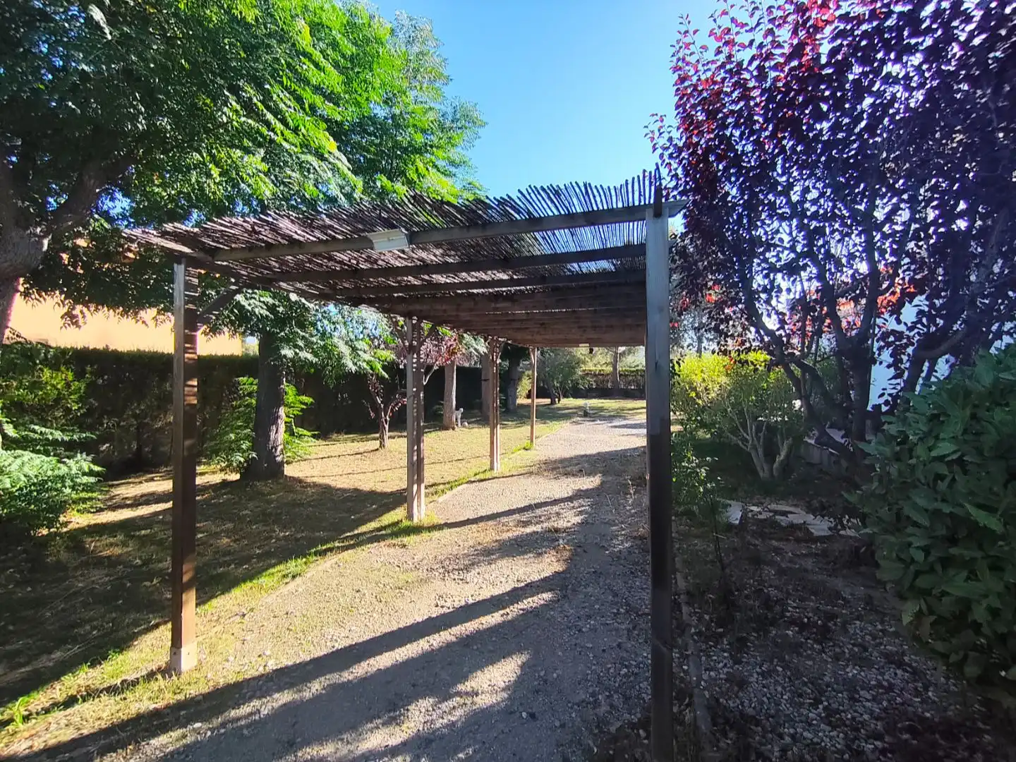 Jardín de Casa o chalet en venta en Olèrdola con Aire acondicionado, Terraza y Piscina
