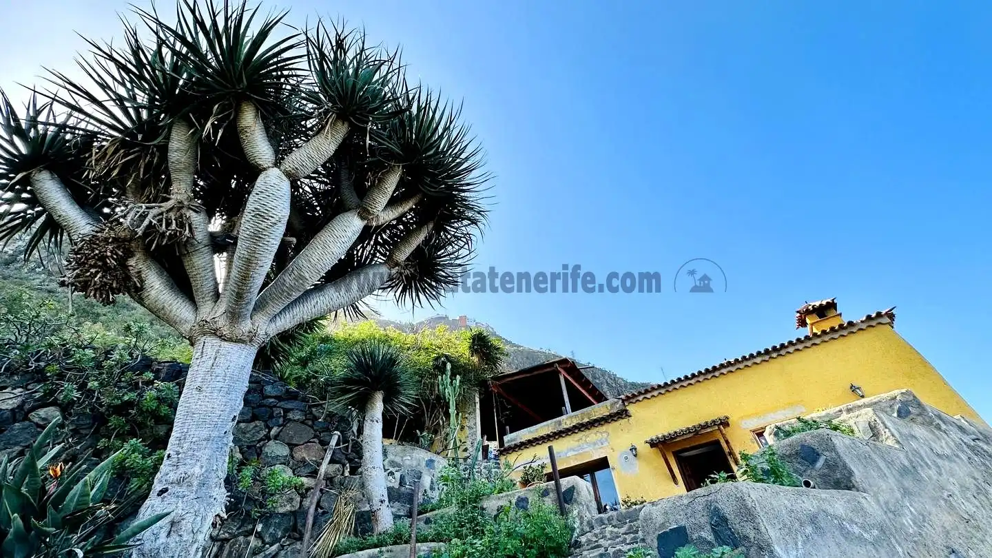 Maison rustique avec jardin à vendre à Tigaiga, imagen 30
