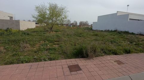 OPORTUNIDAD DE 2 PARCELAS JUNTAS, immagine 2